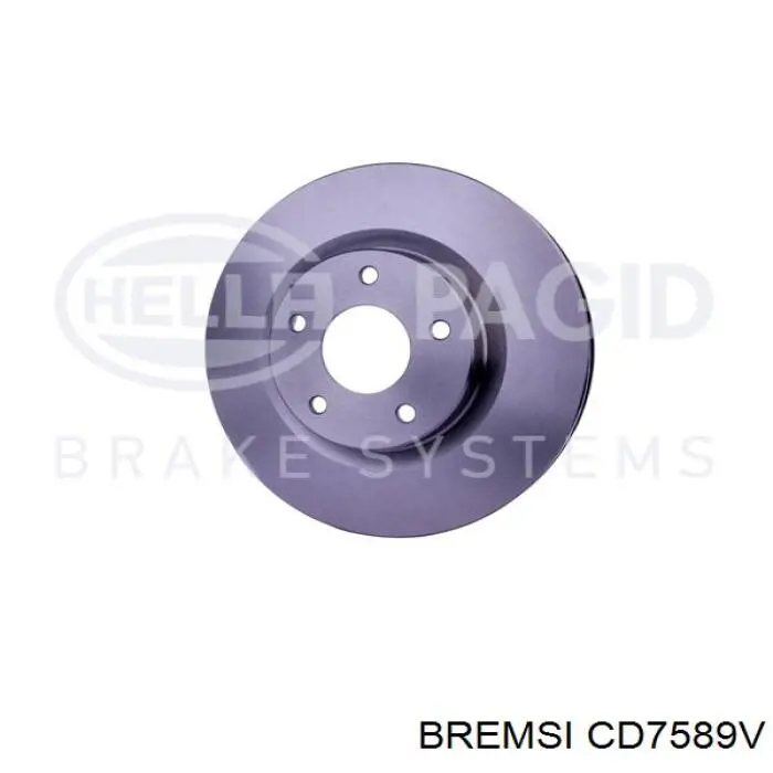 Freno de disco delantero Nissan Qashqai 2 J11