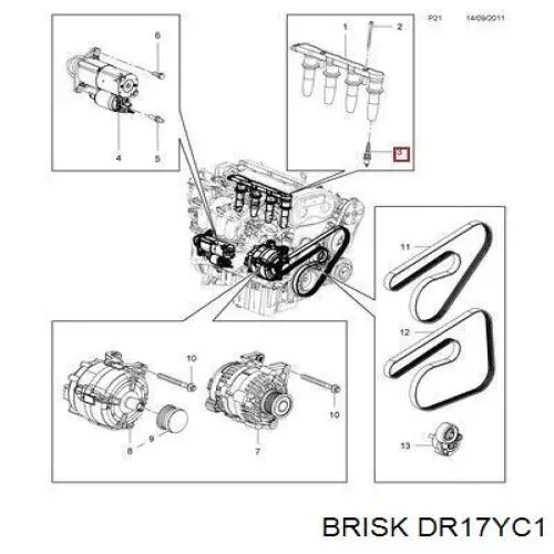 DR17YC1 Brisk Bujía de ignición