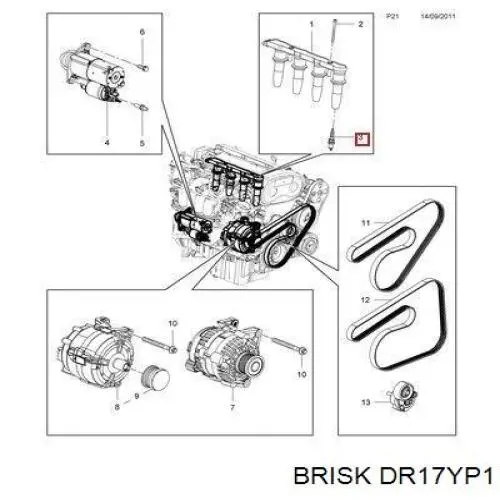 DR17YP1 Brisk Bujía de ignición