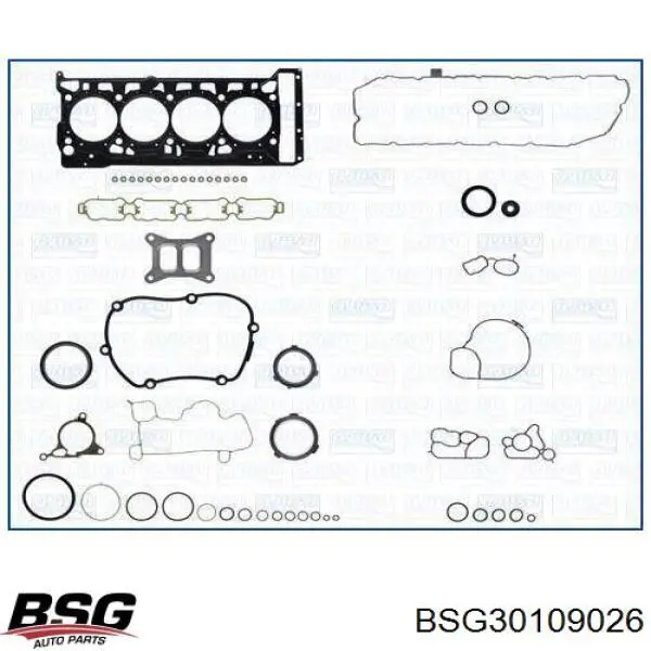 BSG30109026 BSG piñón cadena distribución