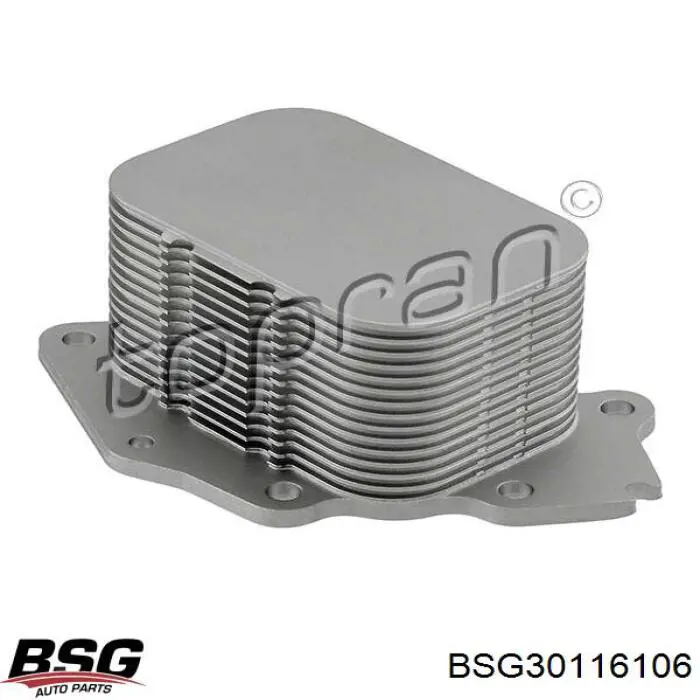 BSG 30-116-106 BSG radiador de aceite, bajo de filtro