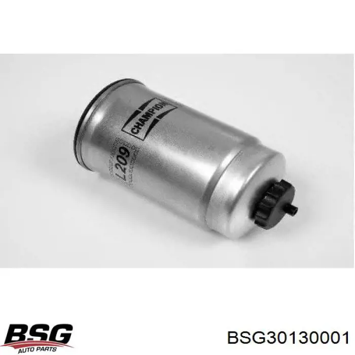 BSG 30-130-001 BSG filtro combustible