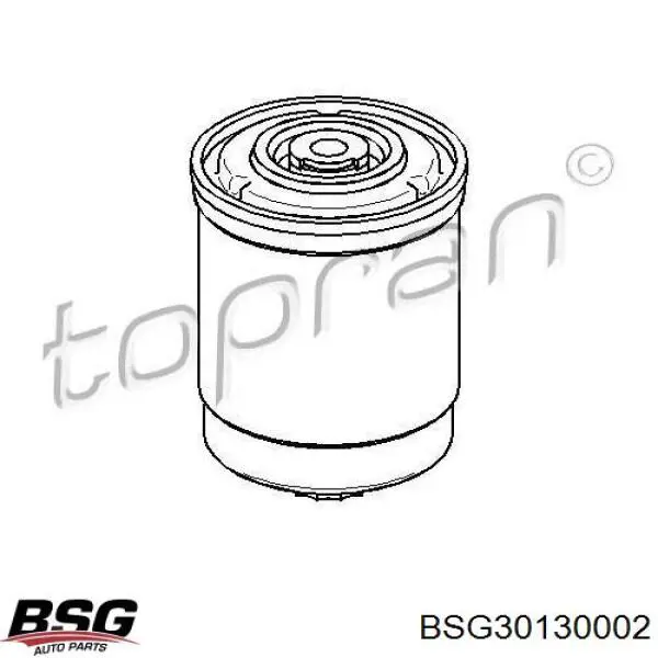 BSG 30-130-002 BSG filtro combustible