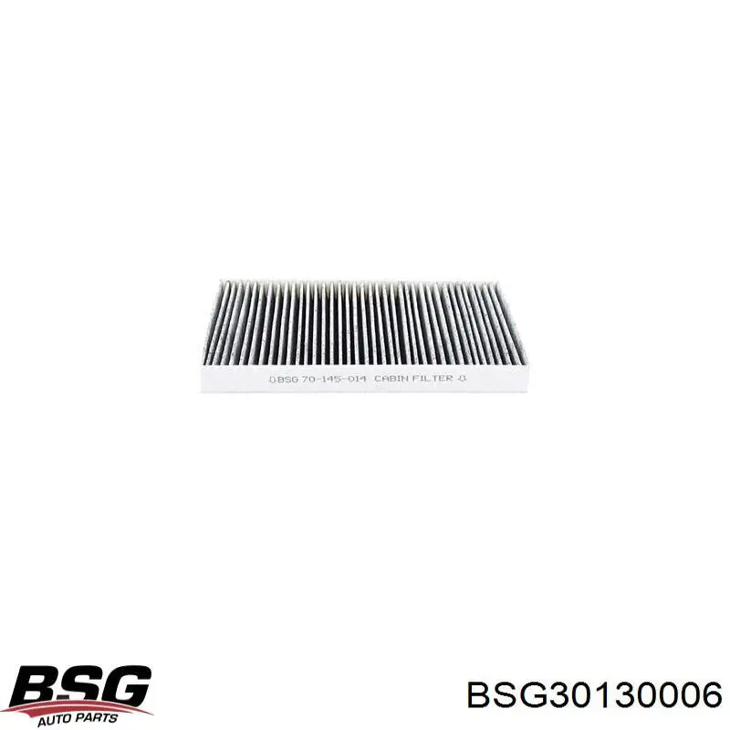 Filtro combustible BSG BSG30130006 precio, desde 20,98 EUR