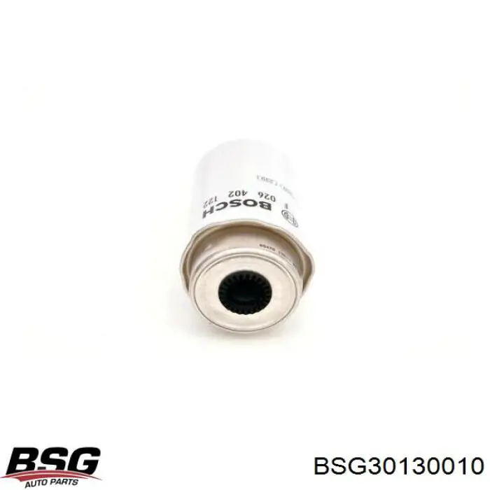BSG 30-130-010 BSG filtro de combustible