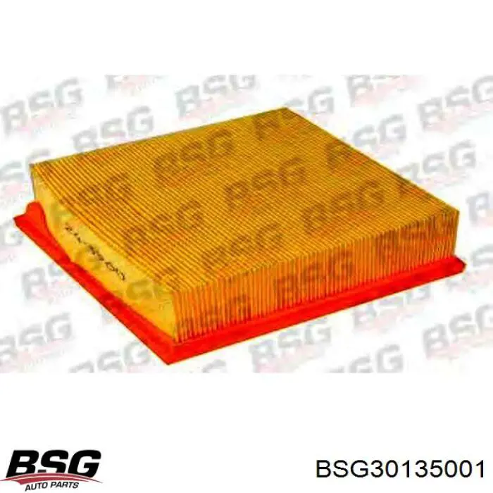 BSG 30-135-001 BSG filtro de aire