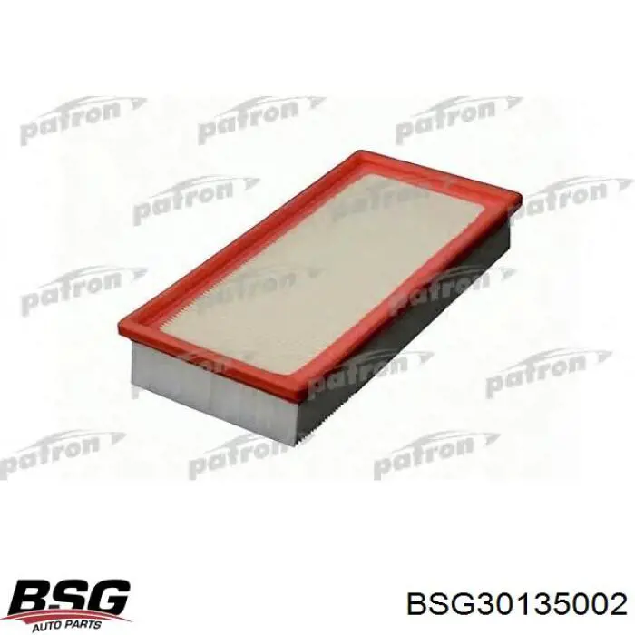 BSG 30-135-002 BSG filtro de aire