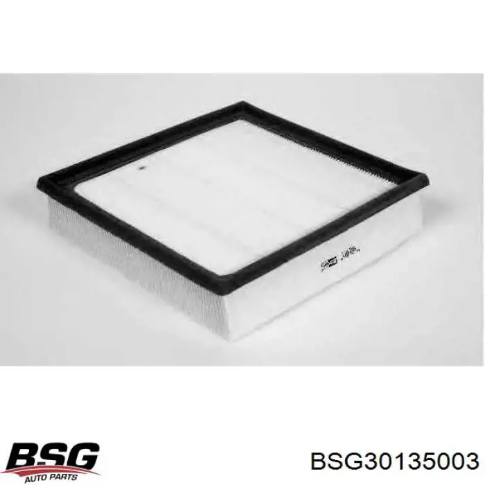 BSG 30-135-003 BSG filtro de aire