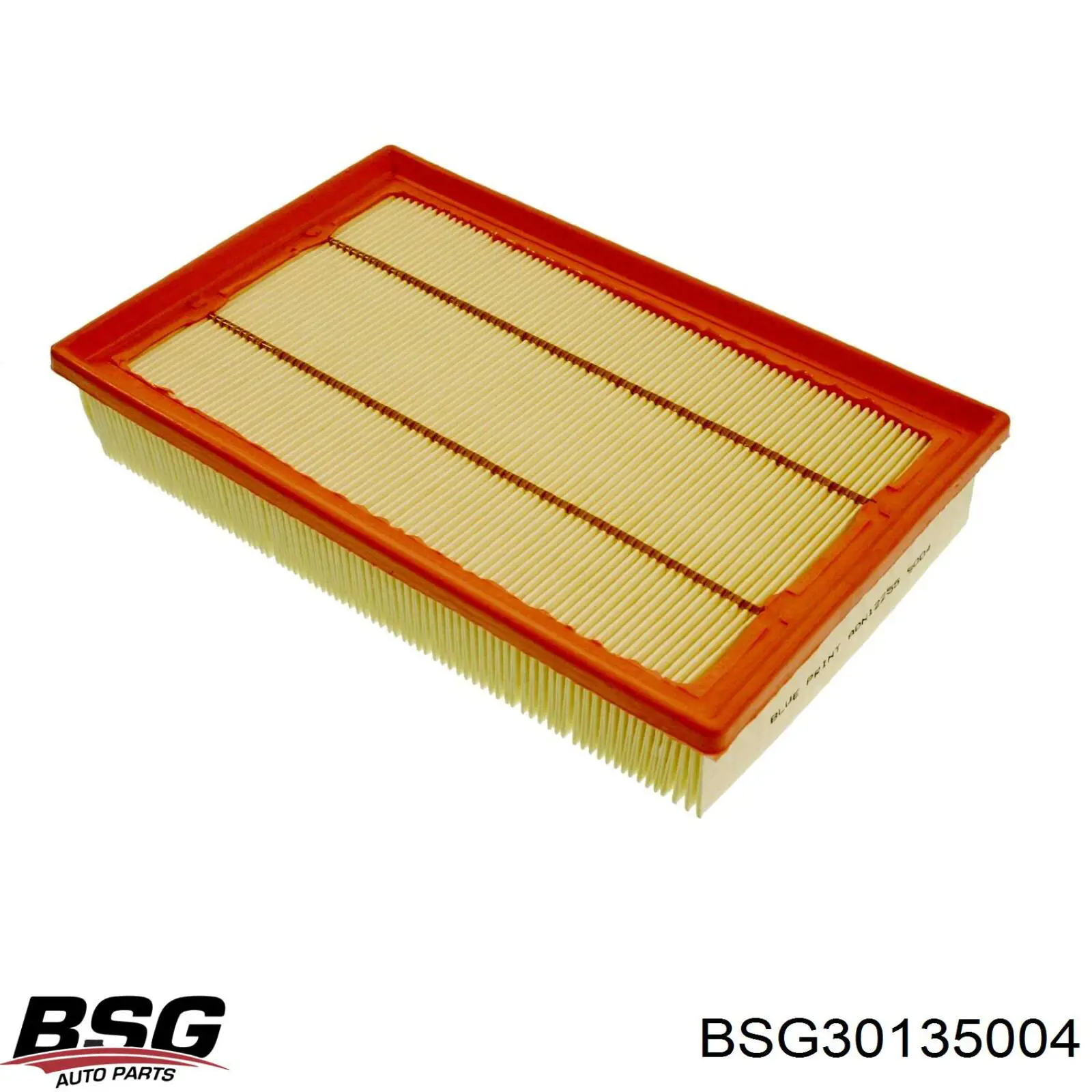 BSG 30-135-004 BSG filtro de aire