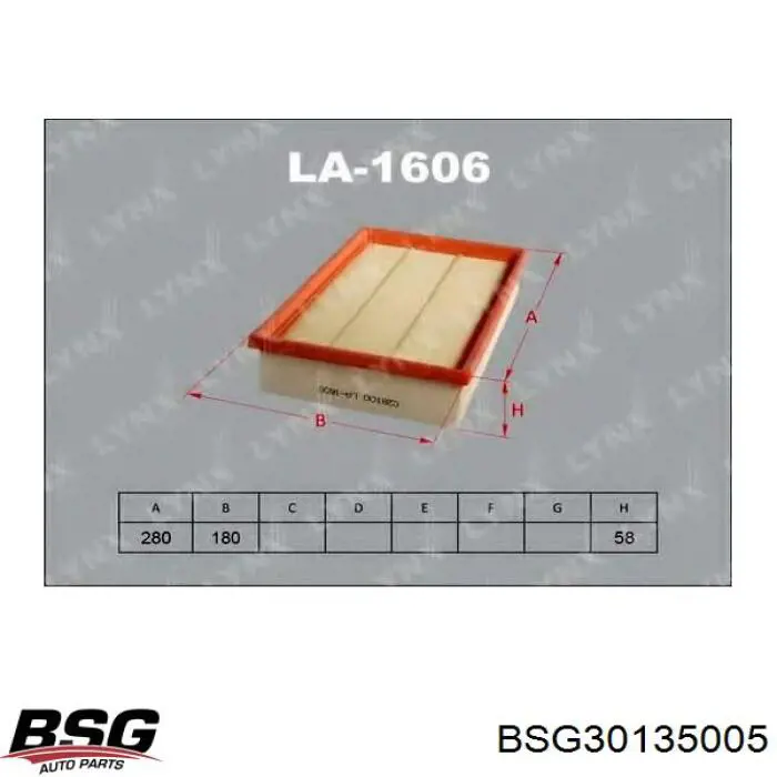 BSG 30-135-005 BSG filtro de aire