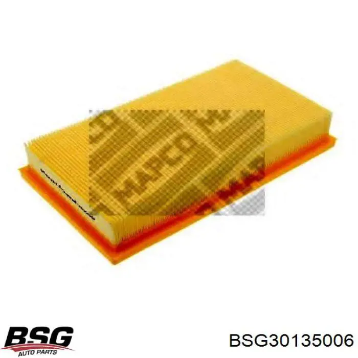 BSG 30-135-006 BSG filtro de aire