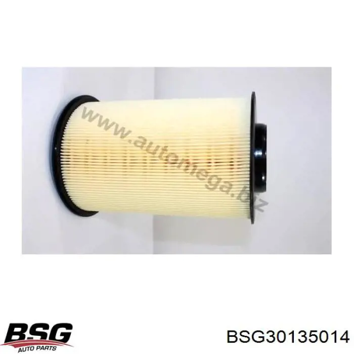 Filtro de aire BSG30135014 BSG