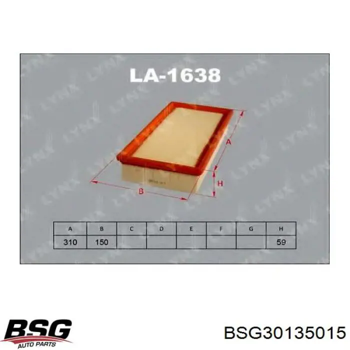 BSG 30-135-015 BSG filtro de aire