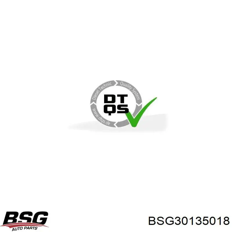 BSG 30-135-018 BSG filtro de aire