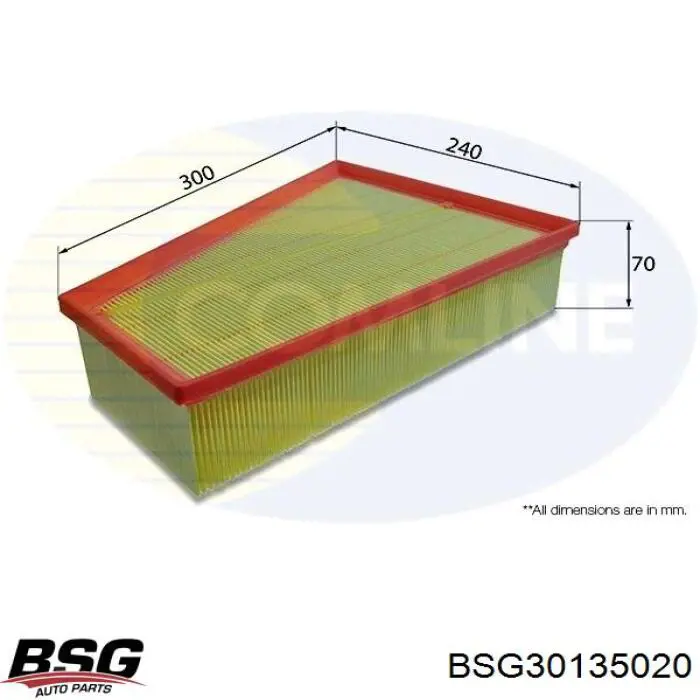 BSG30135020 BSG filtro de aire