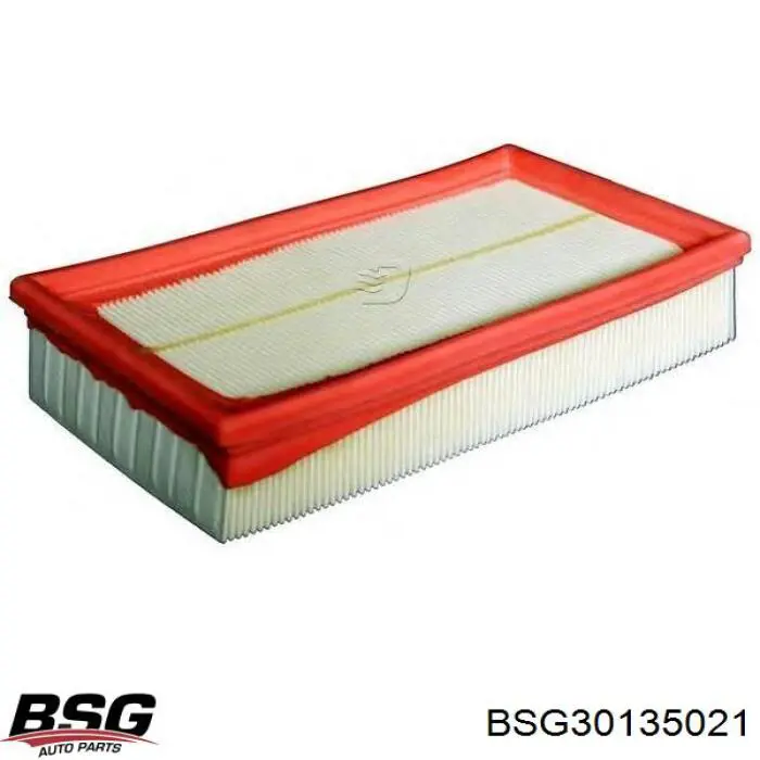 BSG 30-135-021 BSG filtro de aire