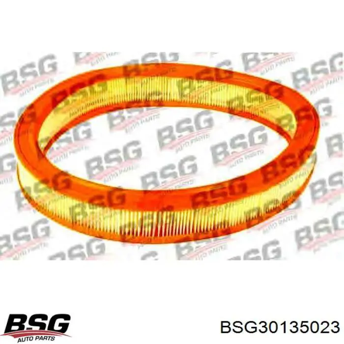 Filtro de aire Ford Ranger ET