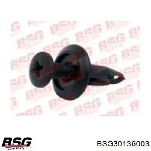 BSG30136003 BSG