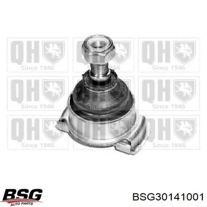 Tapa de filtro de aceite BSG BSG30141001