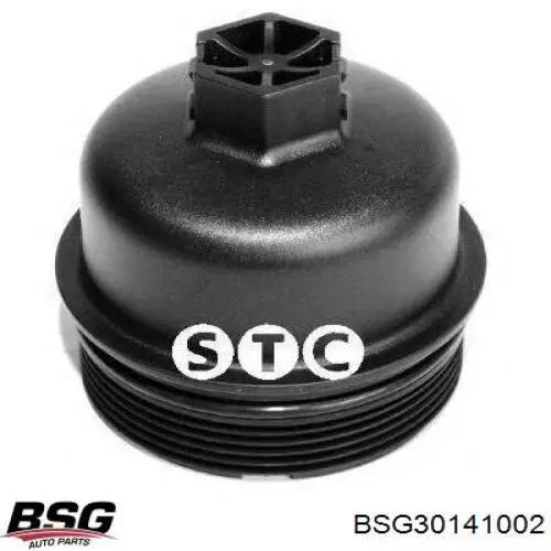 Tapa del filtro de aceite 30141002 BSG