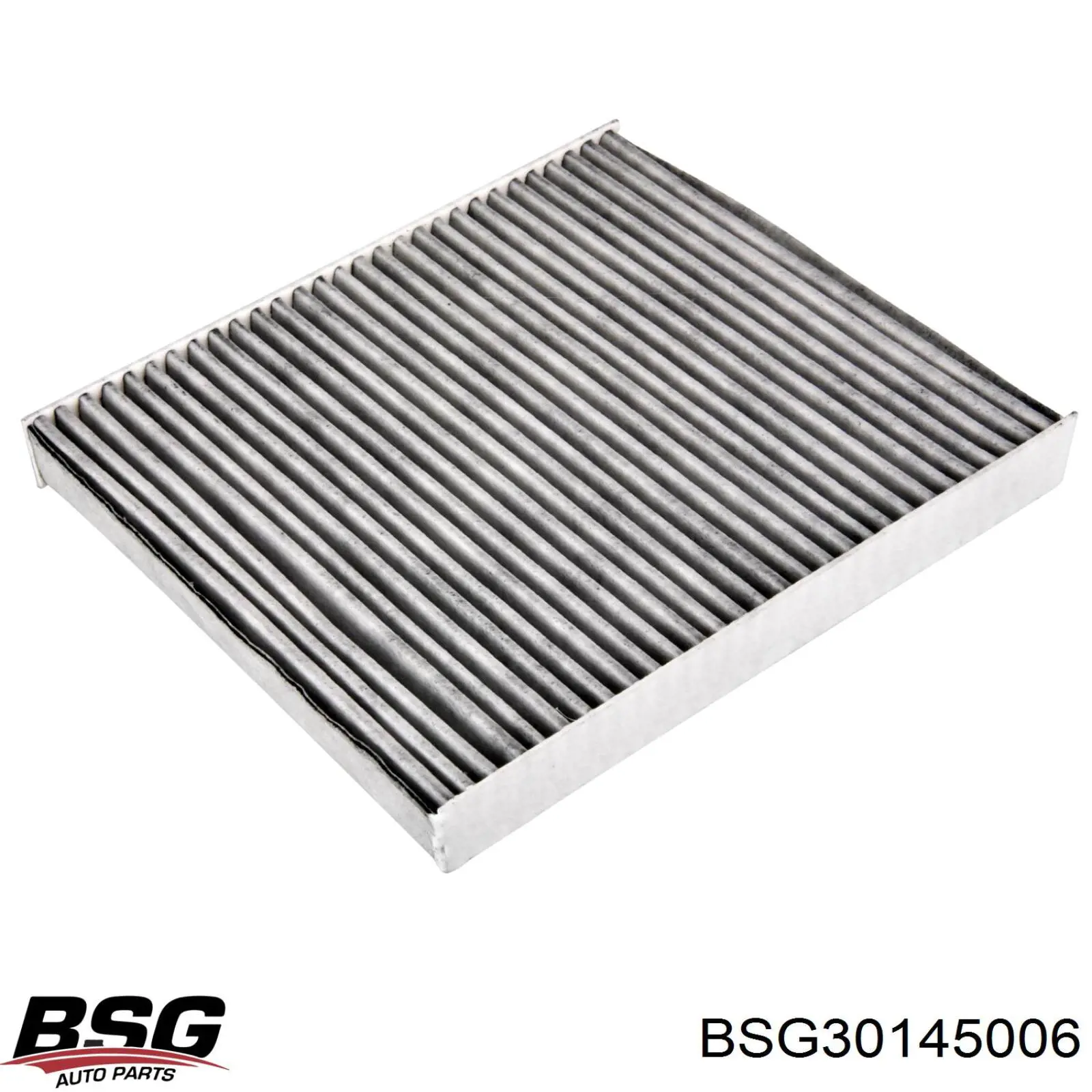 BSG 30-145-006 BSG filtro habitáculo