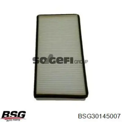 BSG30145007 BSG filtro habitáculo