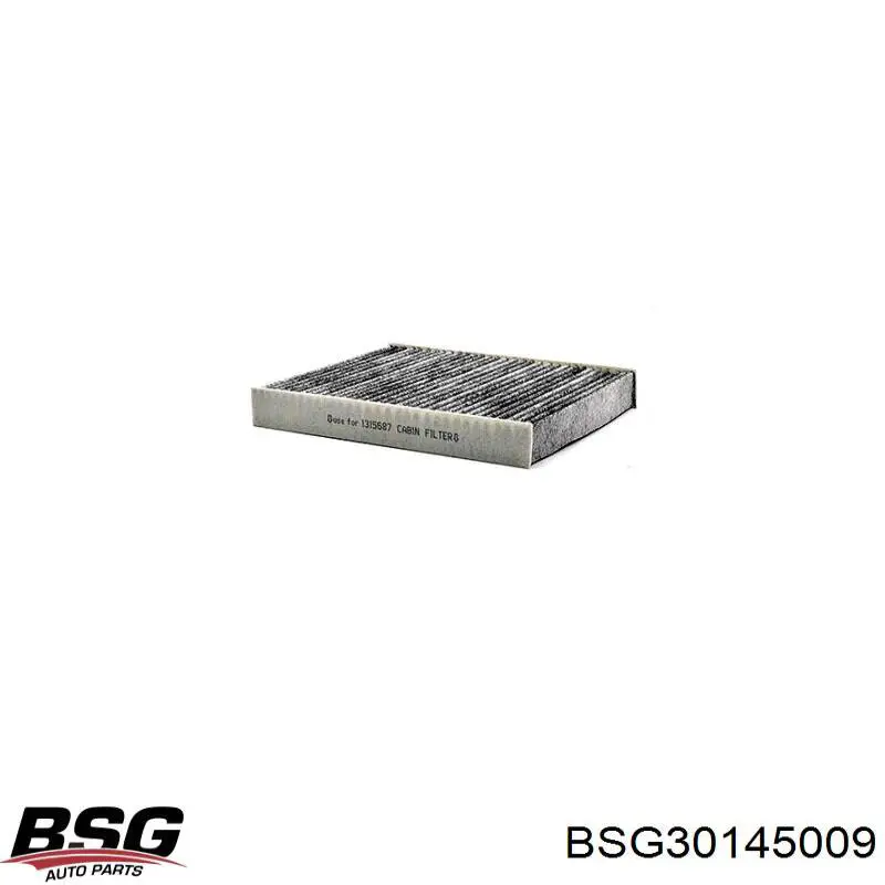 BSG 30-145-009 BSG filtro habitáculo