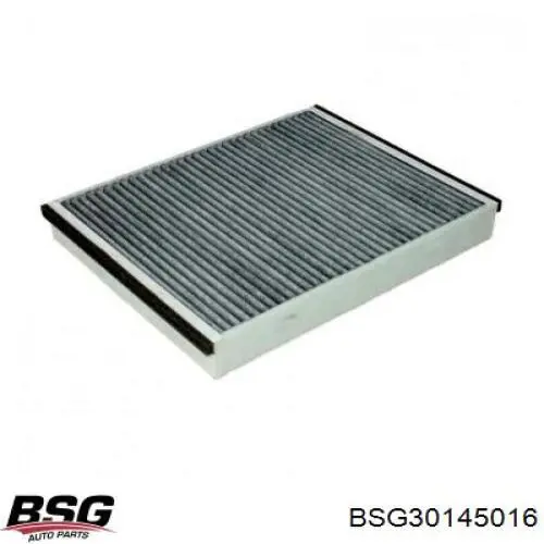 Filtro de polen BSG BSG30145016