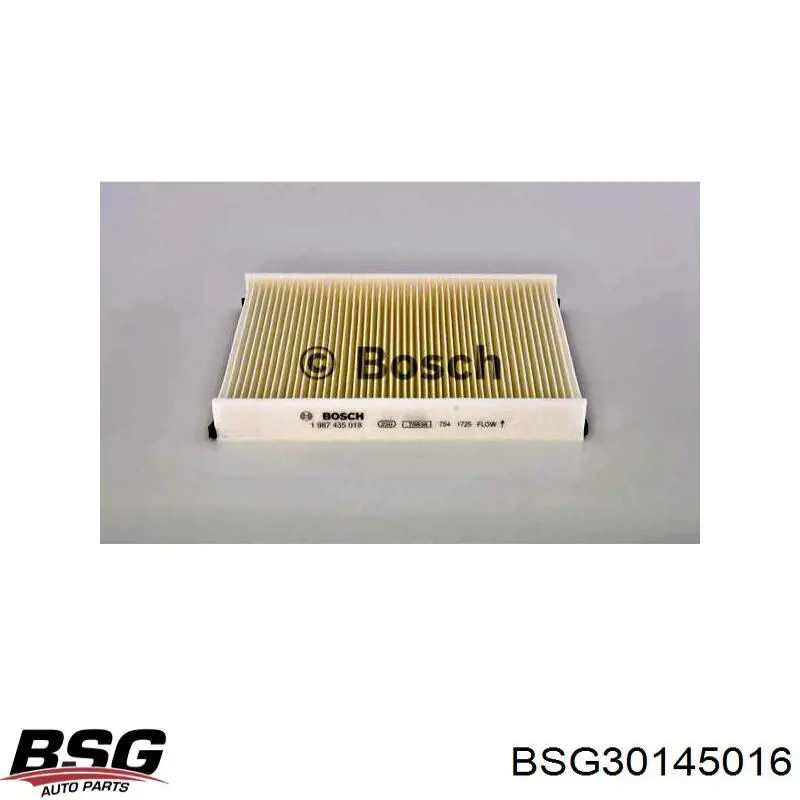 BSG30145016 BSG Filtro antipolen