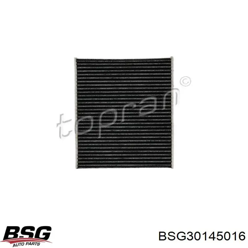 Filtro de cabina BSG BSG30145016 precio, desde 10,84 EUR