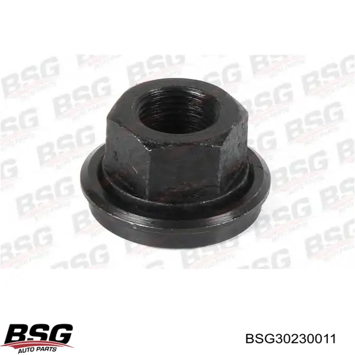 Comprar BSG30230011 BSG Tuerca de neumático