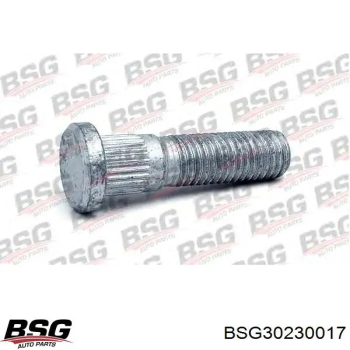 BSG 30-230-017 BSG espárrago de rueda trasero