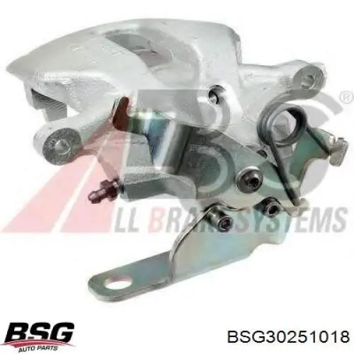 BSG 30-251-018 BSG juego de reparación, pinza de freno trasero