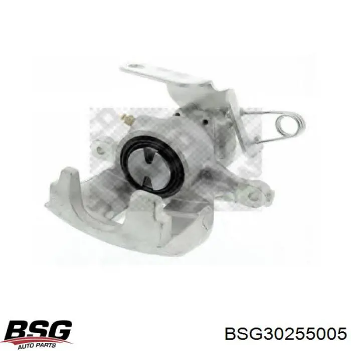 BSG30255005 BSG Soporte de la pinza de freno trasera