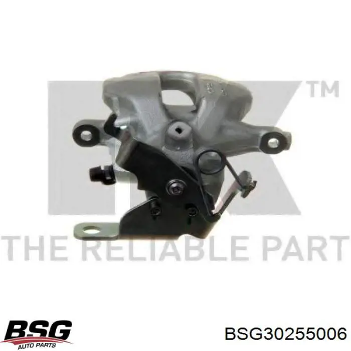 BSG 30-255-006 BSG soporte, pinza de freno trasera