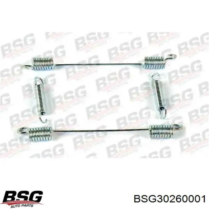 BSG 30-260-001 BSG kit de montaje, zapatas de freno traseras