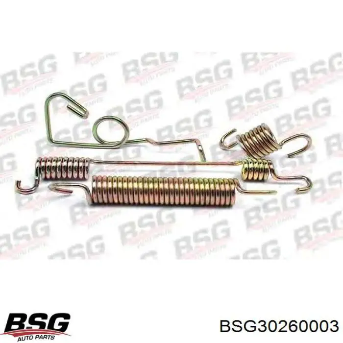 BSG 30-260-003 BSG juego de reparación, frenos traseros