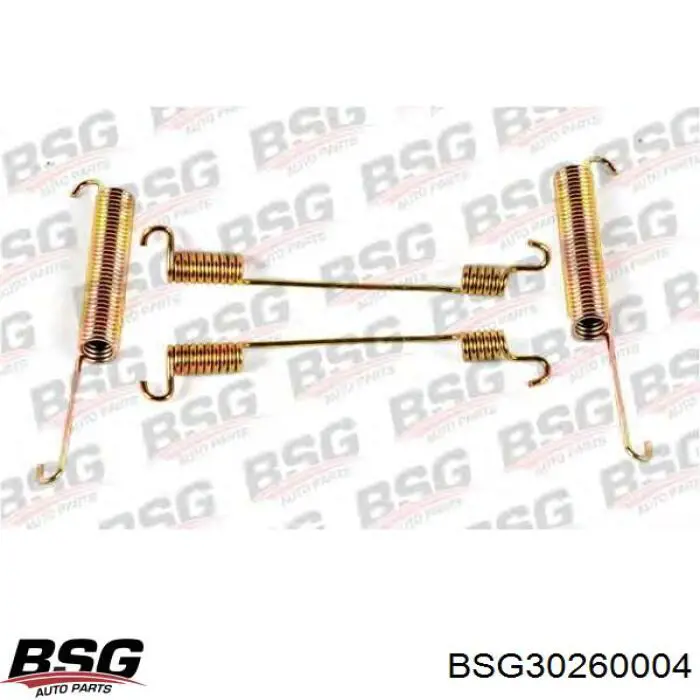 BSG 30-260-004 BSG juego de reparación, frenos traseros