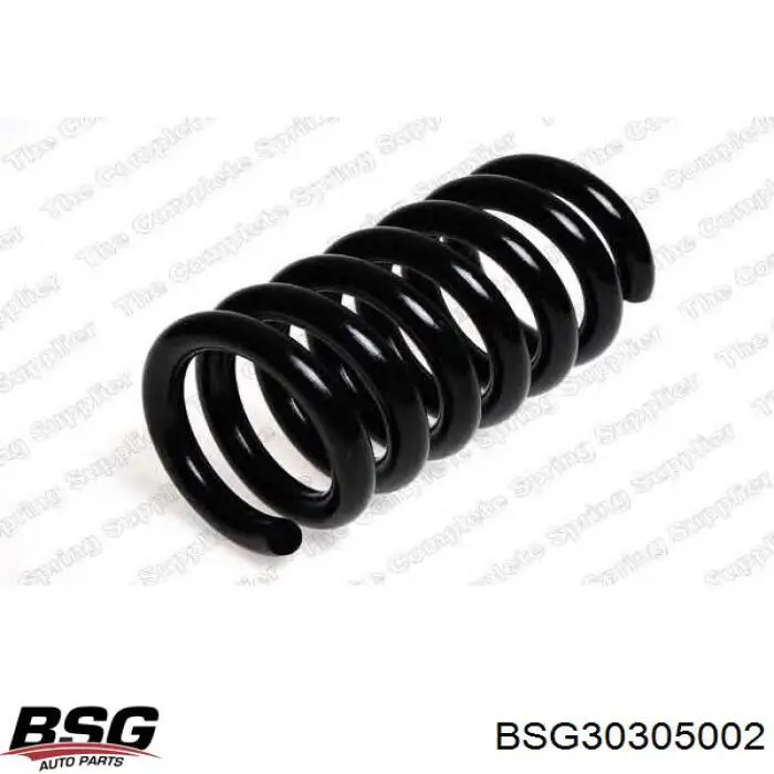 Comprar BSG30305002 BSG Muelle delantero