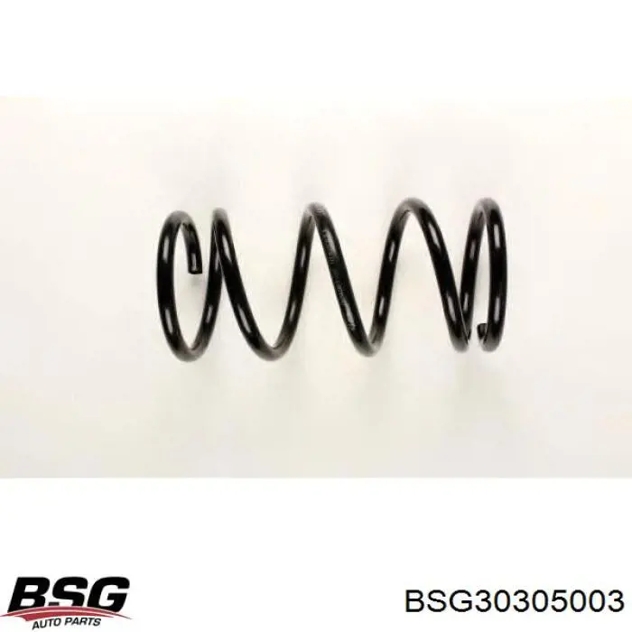 Muelle delantero BSG BSG30305003 precio, desde 54,18 EUR