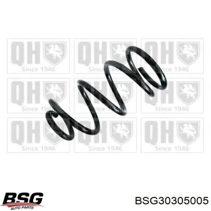 BSG 30-305-005 BSG muelle de suspensión eje delantero