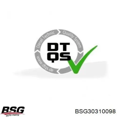 BSG30310098 BSG soporte de barra estabilizadora trasera