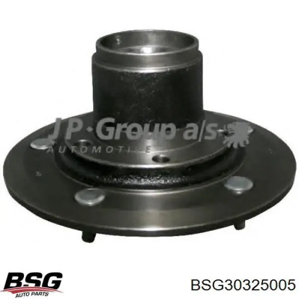 Comprar BSG30325005 BSG Bujes de ruedas