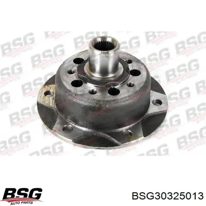 30325013 BSG Cubo delantero