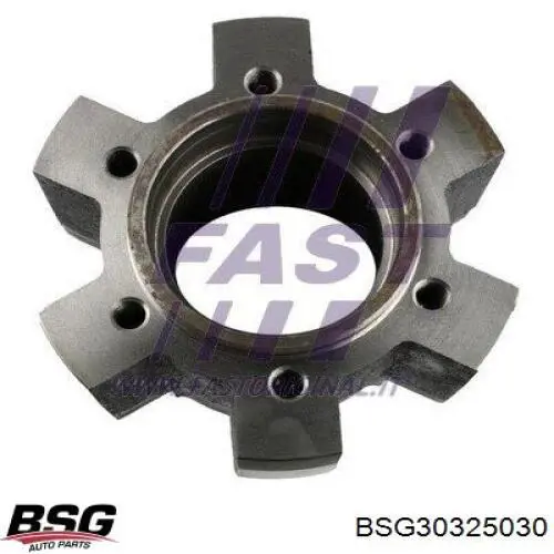 BSG30325030 BSG