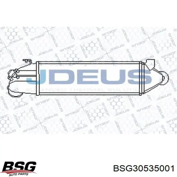 BSG 30-535-001 BSG radiador de aire de admisión
