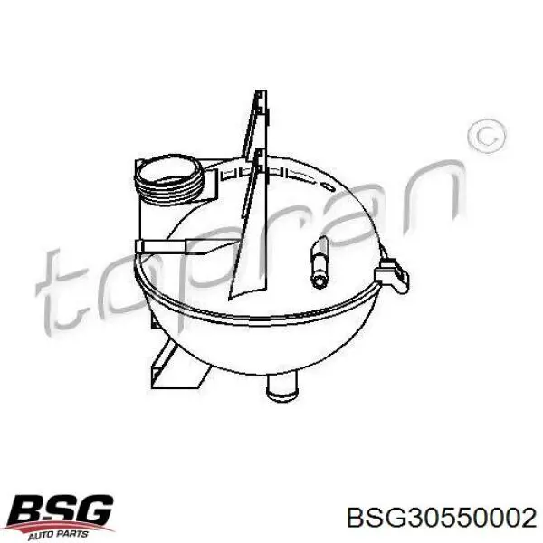 BSG 30-550-002 BSG vaso de expansión