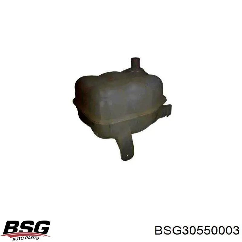 BSG 30-550-003 BSG vaso de expansión