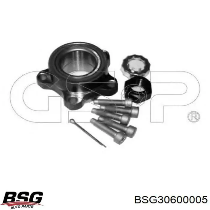 BSG 30-600-005 BSG cojinete de rueda delantero
