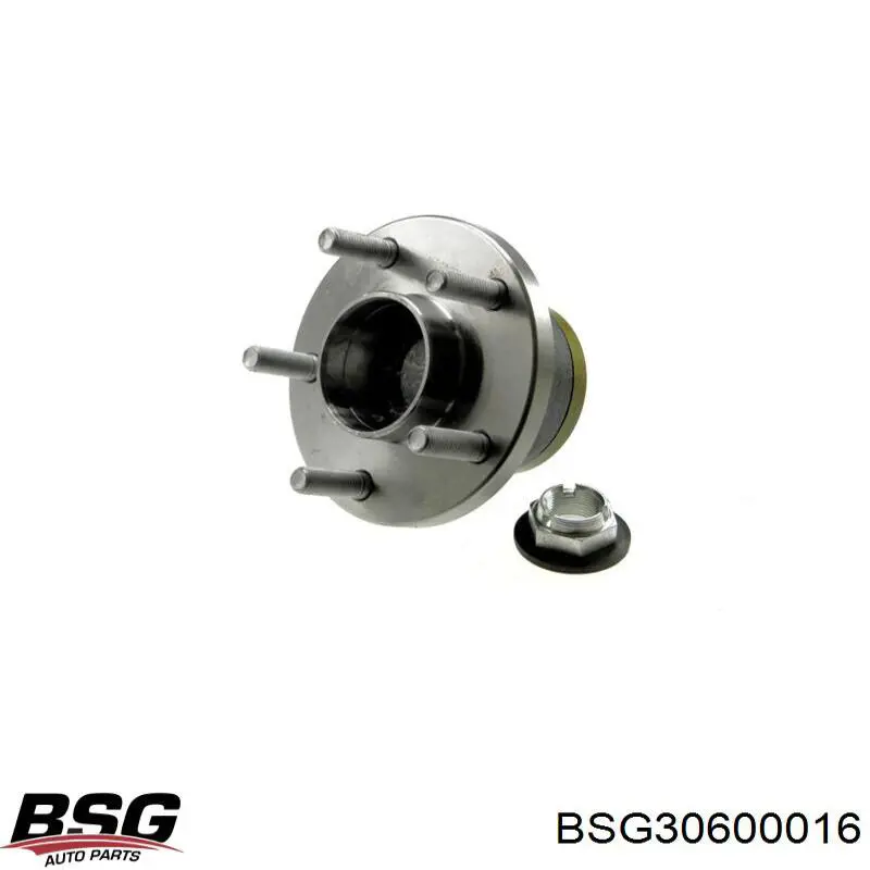 BSG30600016 BSG cubo de rueda trasero